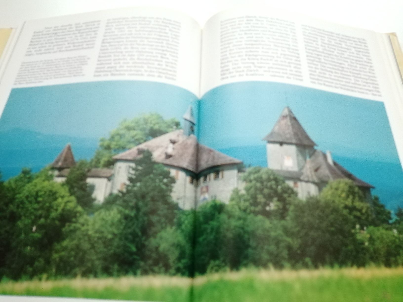 Libri: 1291 Die Geschichte der Eid genossenschaft - Spannend Wissen – Usato da Honau venduto da holunder3 9