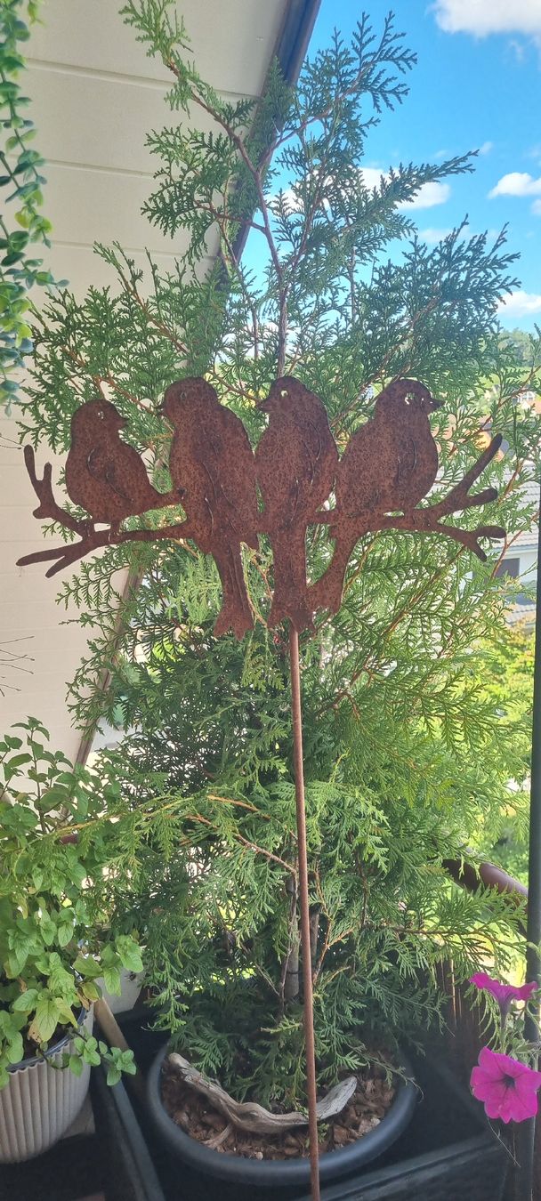 Alle Dekorationen: Gartenstecker Vögel auf Ast Rost Optik  Deko – Gebraucht aus Wiesendangen von A1R1