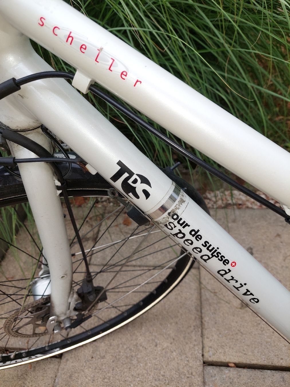 Velos: Damen Velo Scheller Speed Drive weiss mit Korb – Gebraucht aus Muttenz von bea_mmf9 3