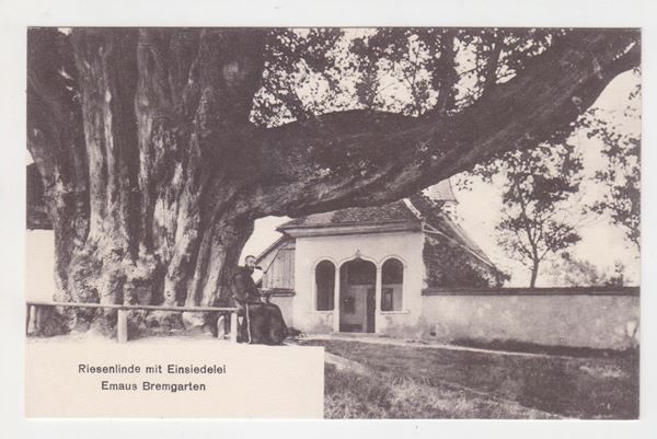 Cartoline postali: Bremgarten // Riesenlinde // circa 1920 – Usato da Basel venduto da intermezzo12
