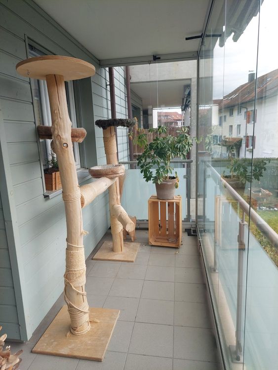 Naturkratzbaum (Massivholz) Eigenkreation | Kaufen auf Ricardo