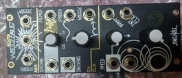 Make Noise Wogglebug Eurorack Modul