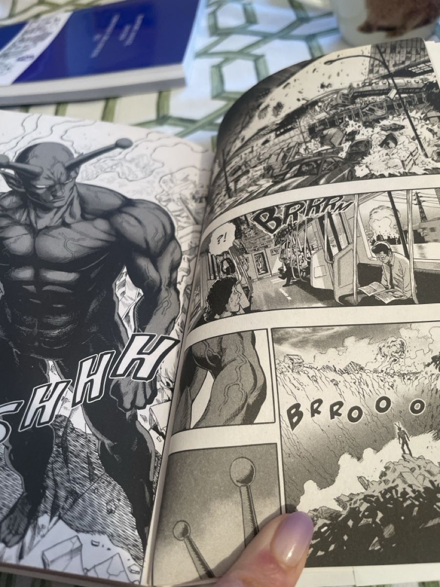Bücher: One-Punch Man 1 – Neu (gemäss Beschreibung) aus Lausanne von log_rrq7 2