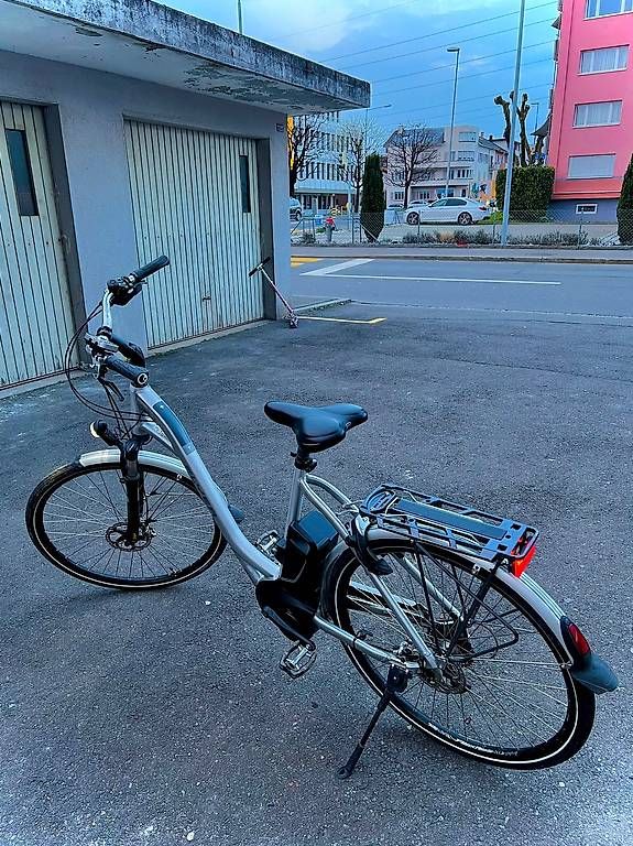 Biciclette: Flyer E Bike 25 km h  – Usato da Zug venduto da abv_9t5d 1
