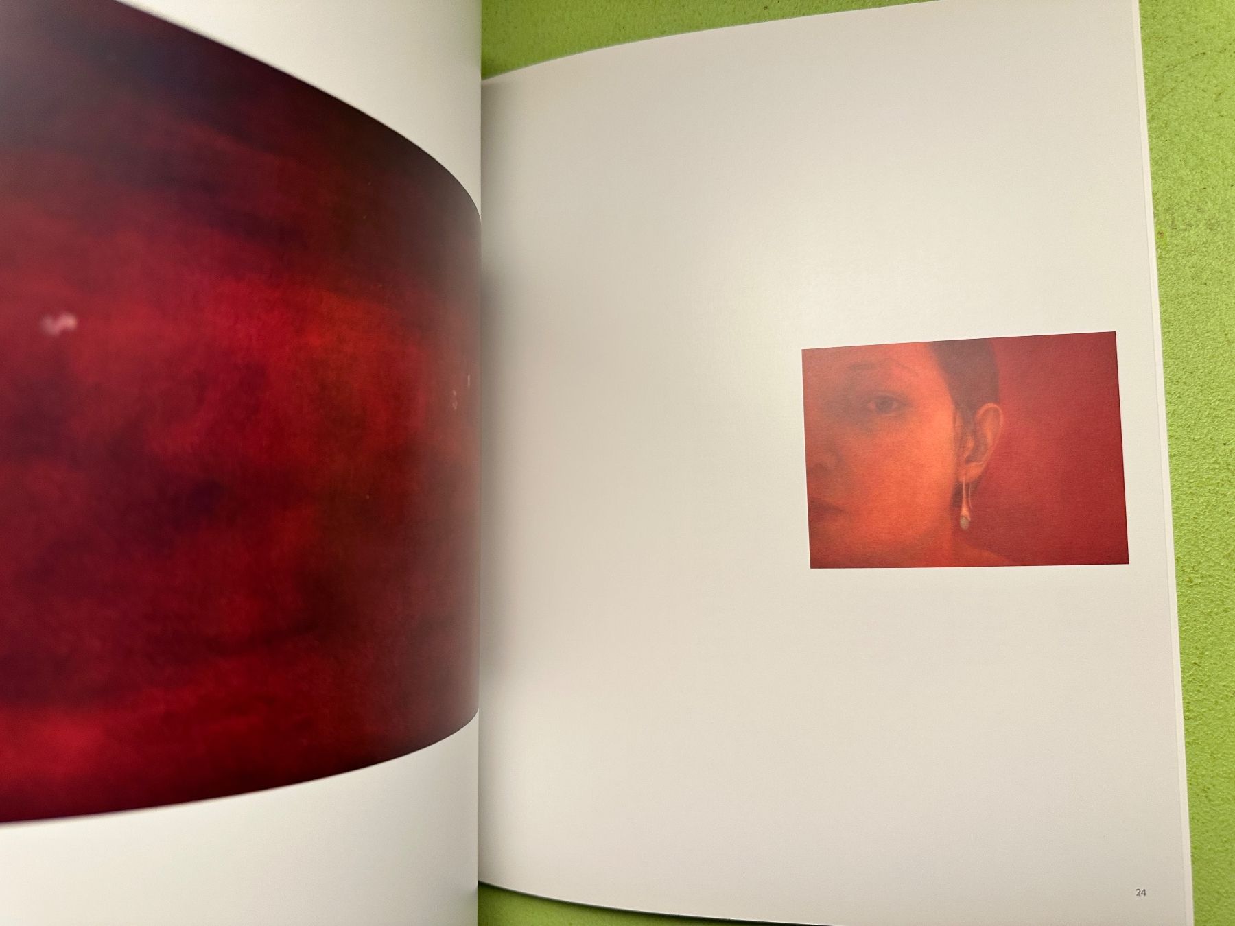 Libri: Angela Lyn: blossom blossom. – Usato da Zürich venduto da allp 5