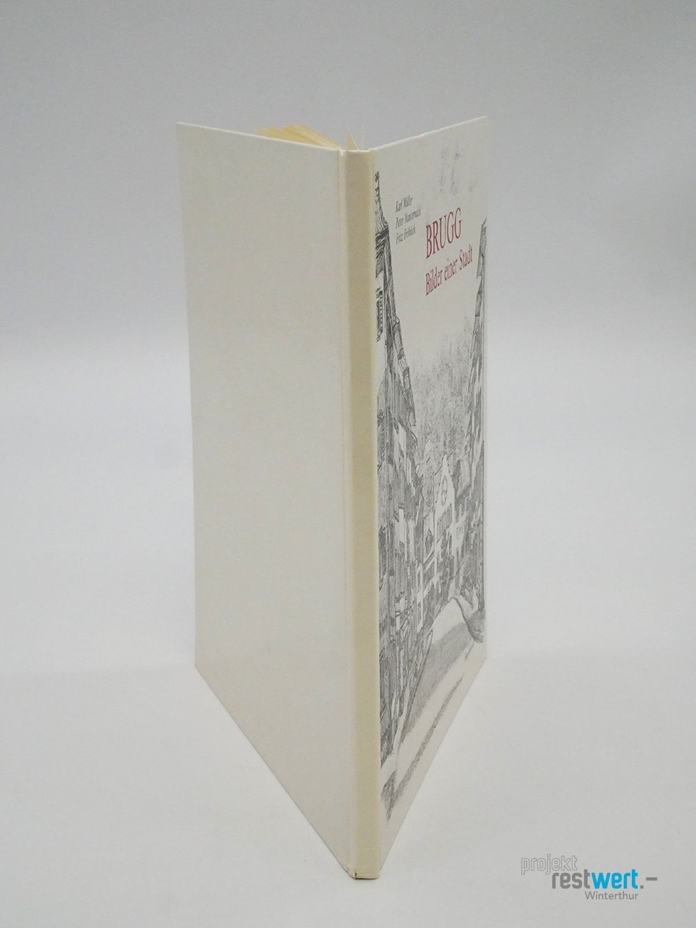 Libri: KARL MÜLLER / Brugg Bilder einer Stadt – Usato da Winterthur venduto da Restwert_Winterthur 1
