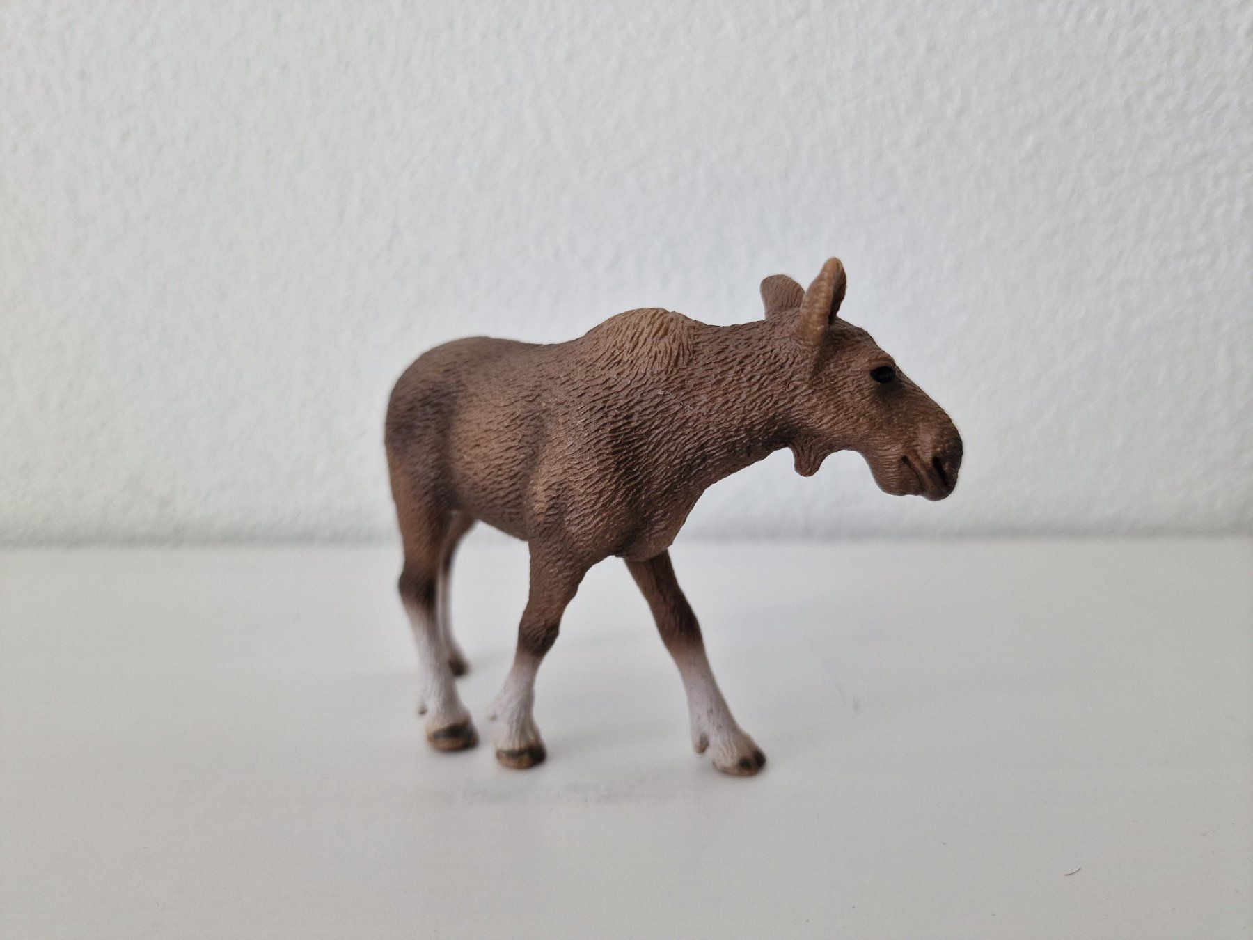 Schleich Statuette: Schleich 14620 Elch Kuh – Usato da Root venduto da Little.Fox 1