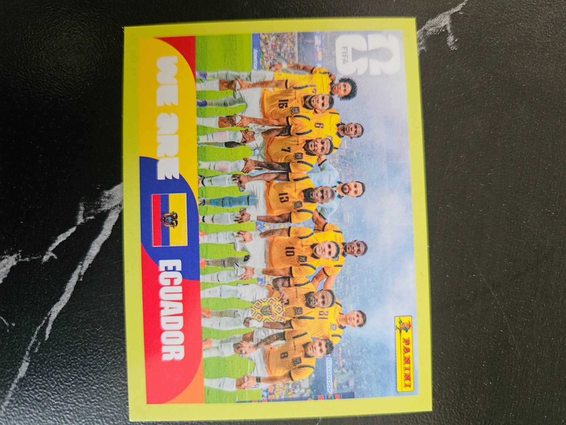 Panini Carte collezionabili: ECU13 – Usato da Würenlingen venduto da Dinli