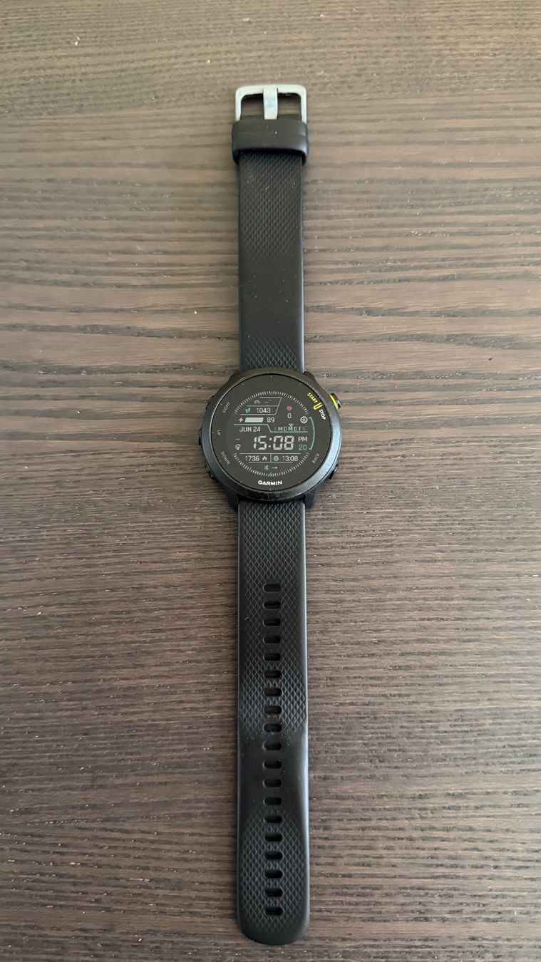 Garmin Smartwatch: Garmin Forerunner 55 Smartwatch – Usato da Feuerthalen venduto da Lasocri 5