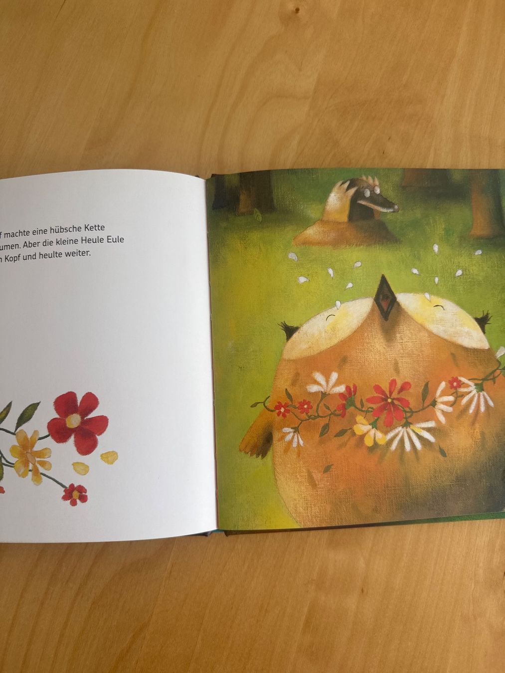 Bücher: Kinderbuch Heule Eule – Gebraucht aus Goldach von Hibiskus23 2