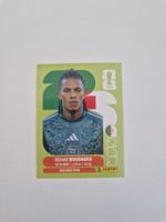 Panini Sticker ALG10