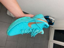 Kobe 6 New York Size46