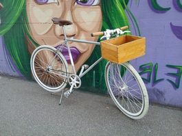FIXIE grau, EINZELSTÜCK - 28 Zoll - HINGUCKER