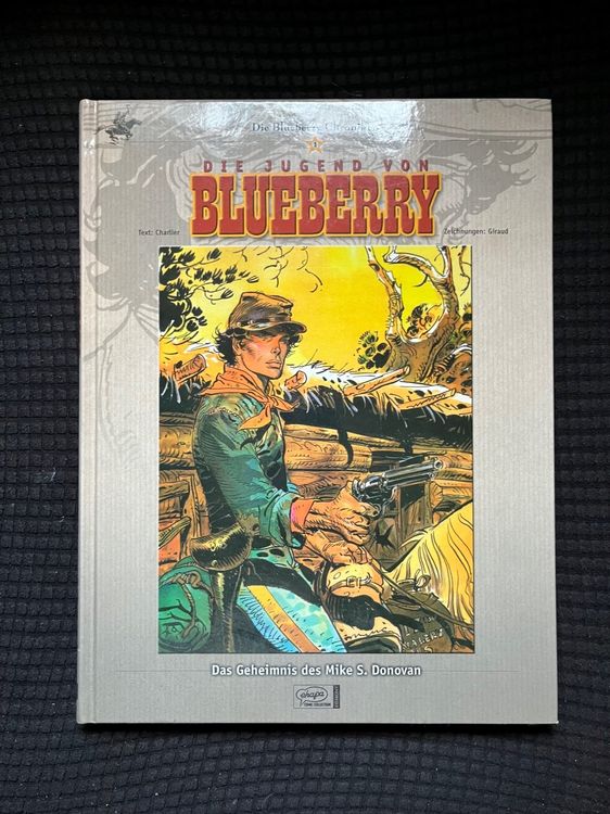 Blueberry visual data 4