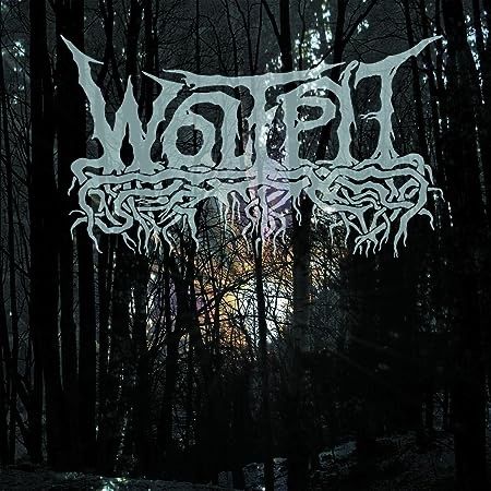 CDs: WOLFPIT (CD) Wolfpit  (Heavy Metal)  FABRIKNEU – Neu und originalverpackt aus Zürich von Tarafo5