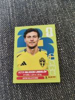 Panini 2026 Wm Swe 6