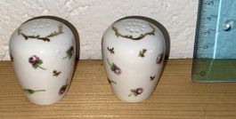 Süsses altes Salz- & Pfefferstreuer-Set mit Rosen, Porzellan