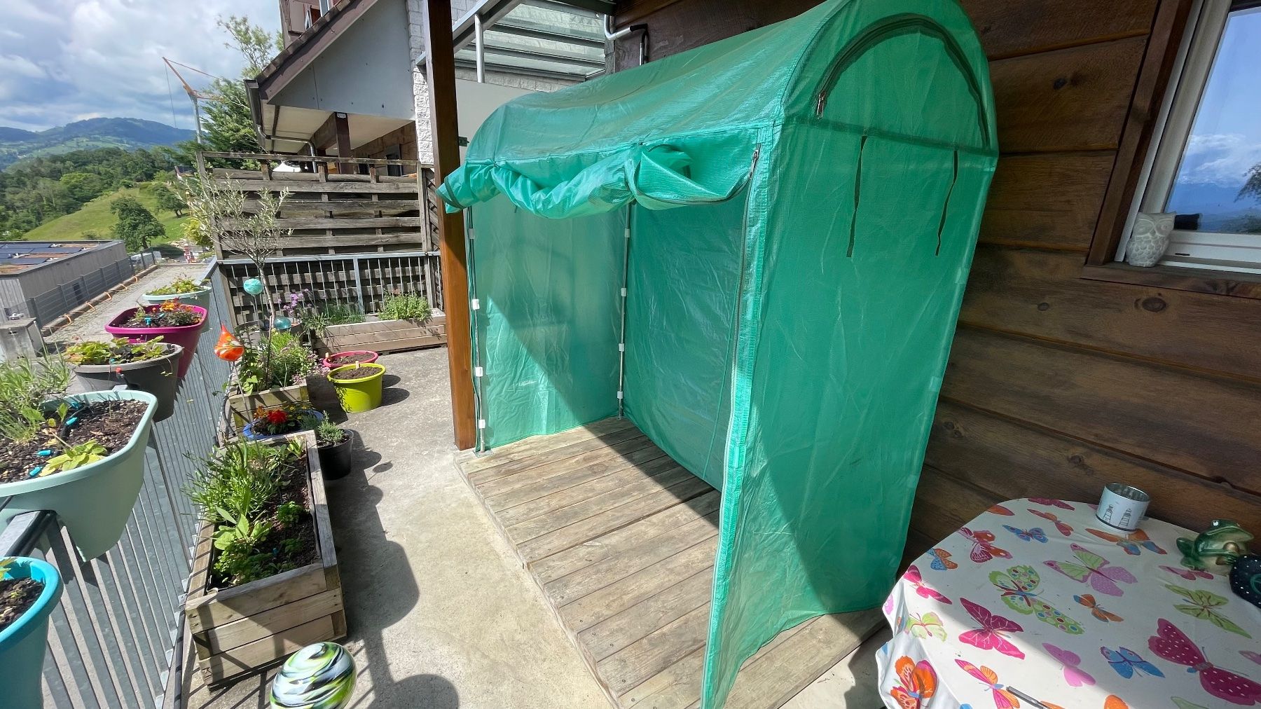 Casette da giardino & serre: Premium-Tomatenhaus - Absolut sturmsicher – Usato da Rebstein venduto da hebupic 1