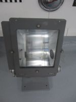 Industrielampe Thorn