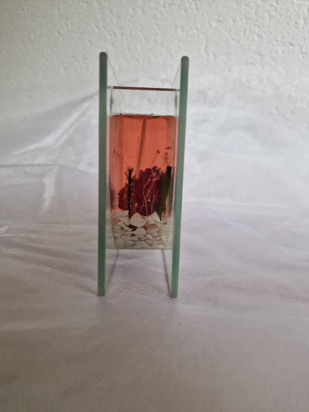 Candele: Dekorative Gelkerze – Nuovo (secondo la descrizione) da Lyss venduto da kar_vgn2 3