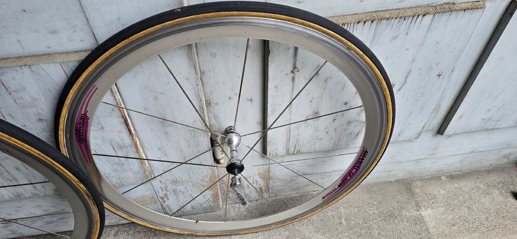 Campagnolo Pezzi di ricambio: Campagnolo Shamal Titanium – Usato da basel venduto da Propain 4
