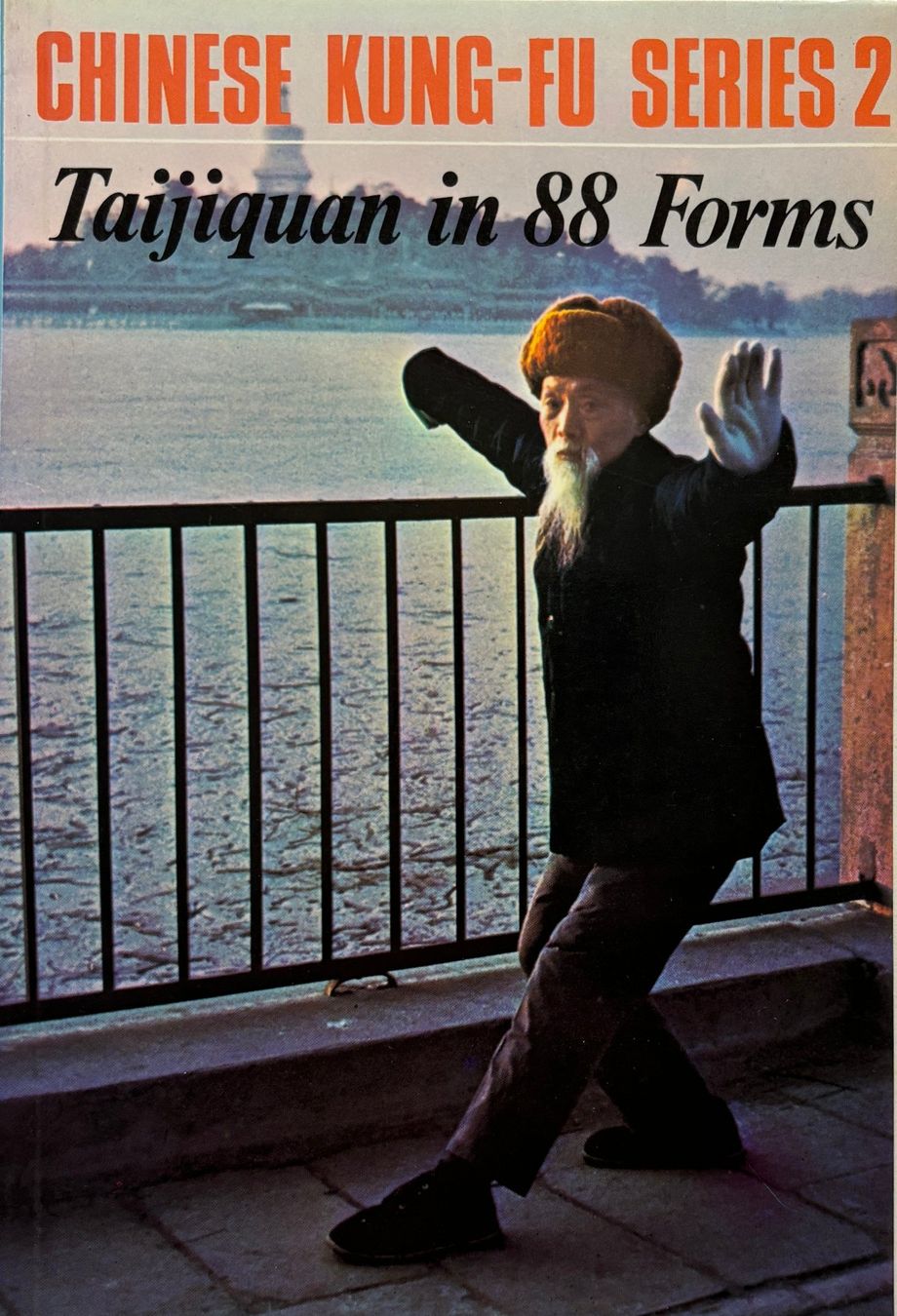 Libri: Taijiquan in 88 Forma – Nuovo (secondo la descrizione) da Sarnen venduto da Livres