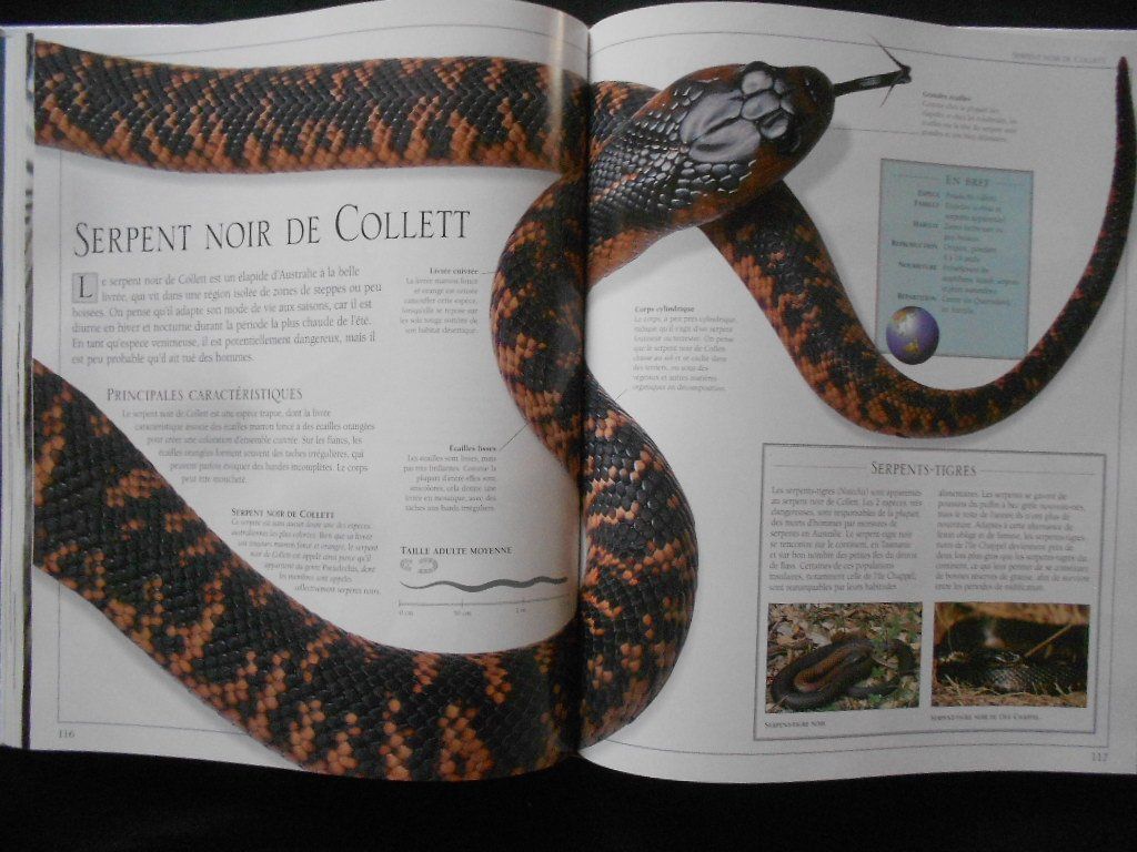 Libri: SERPENTS  -  PASSION – Usato da Bex venduto da Giorgiob 4