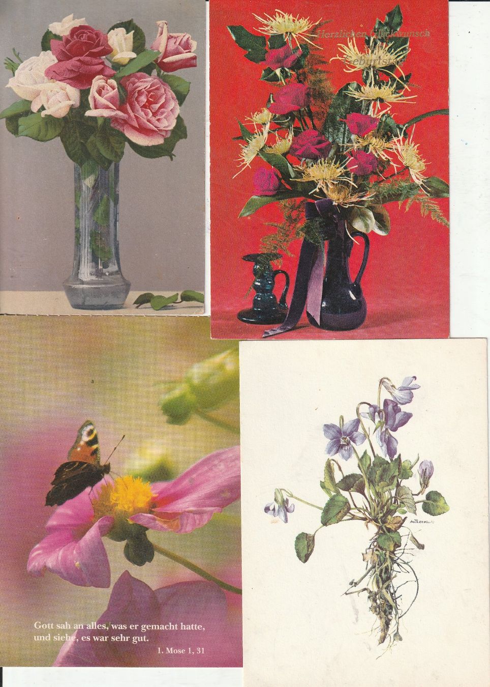 Cartoline postali: 40 Blumenkarten – Usato da Lumbrein venduto da made02 2