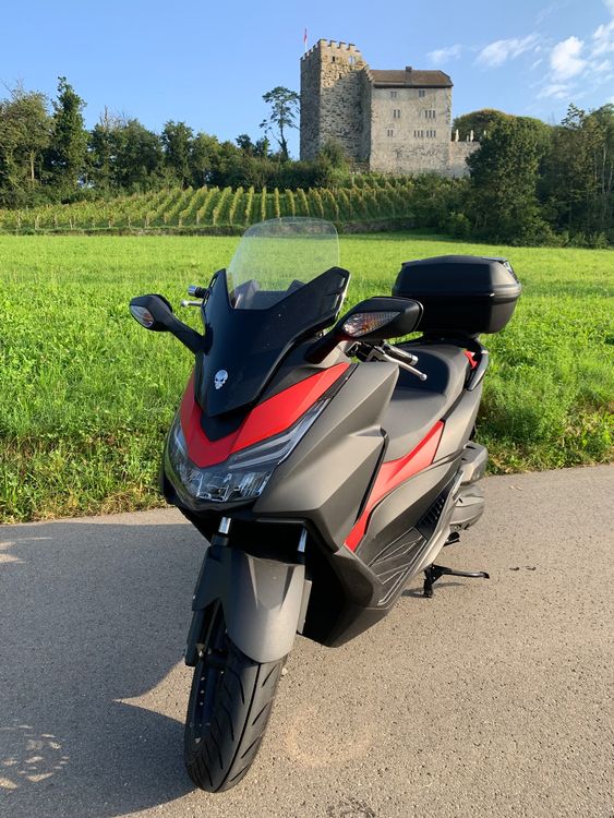 Erstaunlich Honda Forza 125 Gebraucht Fotos