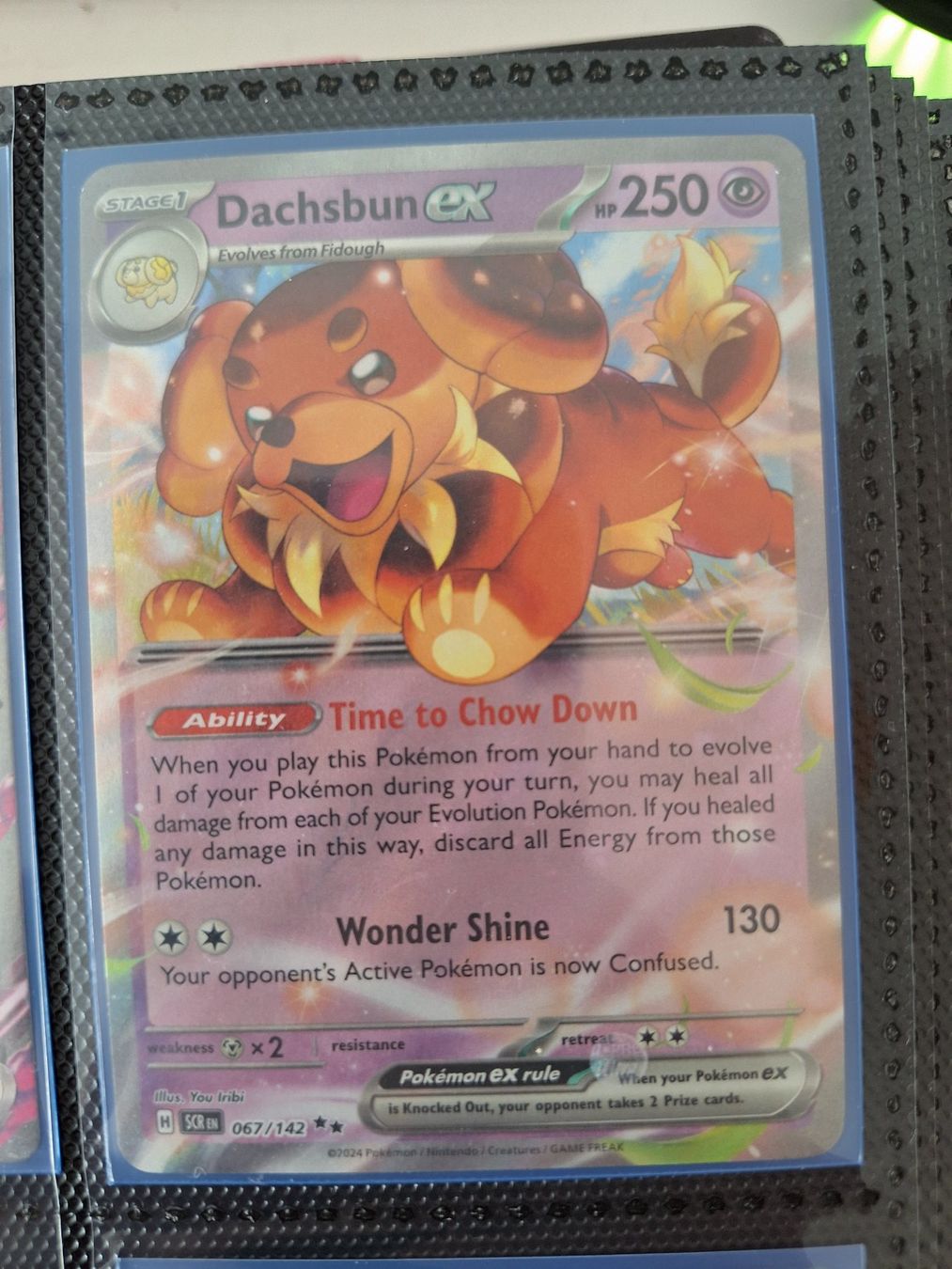 Pokémon Carte collezionabili: Dachsbun ex – Usato da Altstätten SG venduto da GGsGameshop