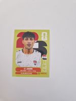 Panini Sticker IRQ12