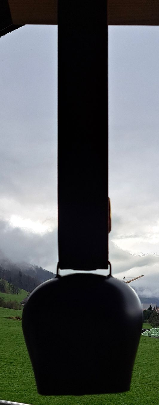 Campanacci mucche: Treichel/Glocke – Nuovo (secondo la descrizione) da Sachseln venduto da Eroh 1