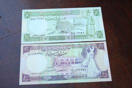 Syrie 5/10 pounds
