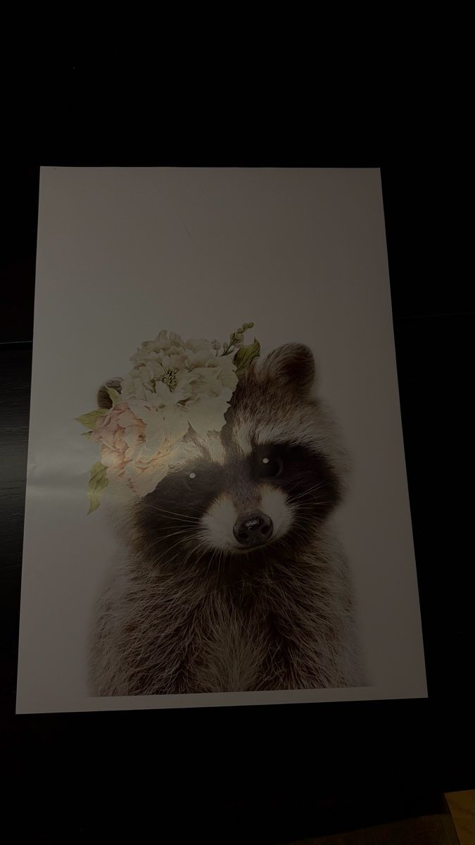Poster & Bilder: 3 big animal posters high resolution + 2 giraffe posters  – Gebraucht aus Genthod von cha_8vfp 1