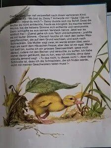 Libri: Daisy, das hochnäsige Gänslein - Kinderbuch – Usato da Schöfflisdorf venduto da kin_2dp9 2