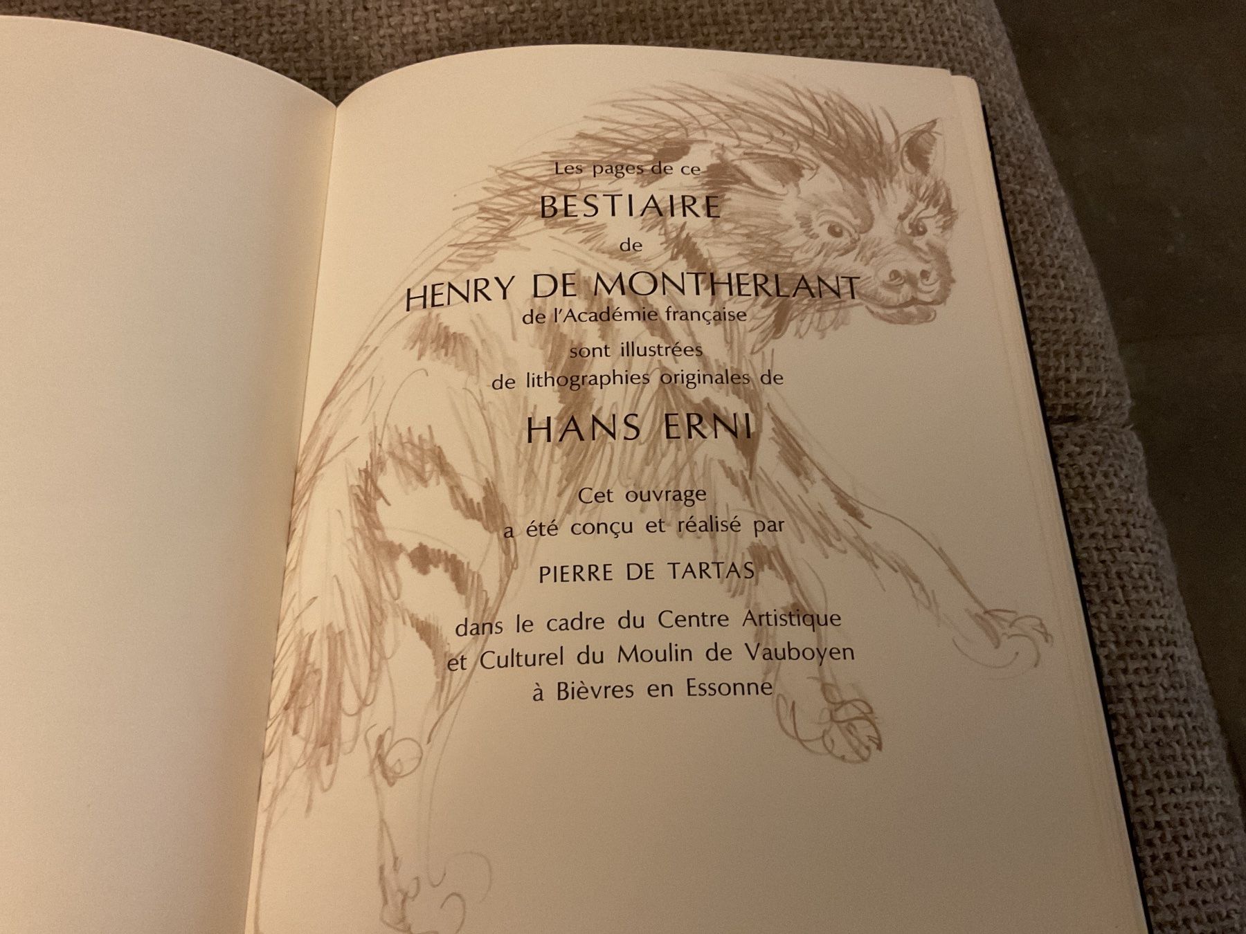 Libri: HISTOIRE NATURELLE IMAGINAIRE – Nuovo (secondo la descrizione) da Gentilino venduto da besse1 2