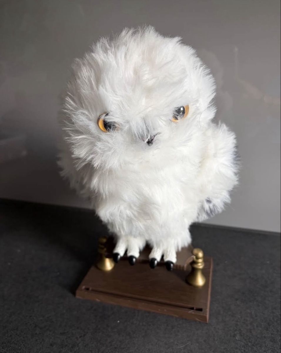 Giocattoli: Hedwig Eule Plüschfigur Harry Potter – Usato da Endingen venduto da country_family 1