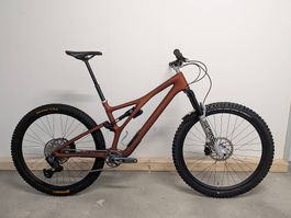 Specialized Stumpjumper Custom 2024 mit vielen Details