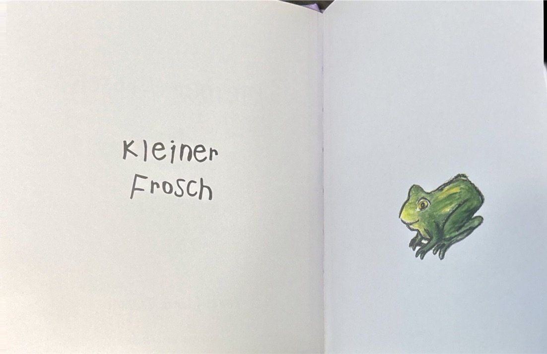Libri: Kleiner Frosch – Nuovo (secondo la descrizione) da Sarnen venduto da Livres 3