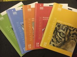 5 Arbeitshefte MATHEMATIK 4. Kl. (Zahlen&Ziffern; Grössen;…)