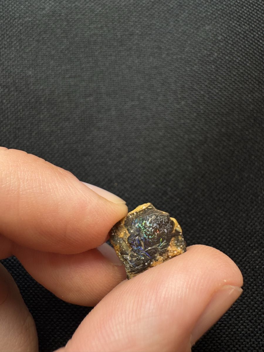 Pietre preziose: Boulder Opal Lot 2, 97.65 ct – Nuovo e nell'imballaggio originale da Wängi venduto da Horus90 2