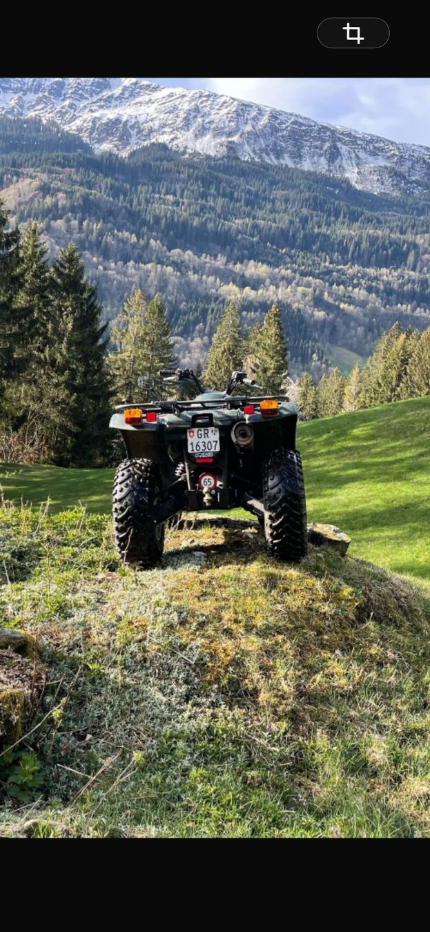 Yamaha ATV / Quad: Yamaha Quad Grizzly 660 – Usato da Zizers venduto da boomer76101 3