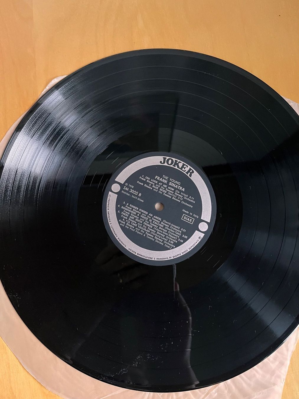 Dischi in vinile: The Young Frank Sinatra, Schallplatte – Usato da Rüdlingen venduto da Timber_11 3