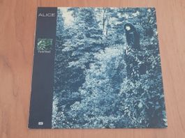 LP Alice