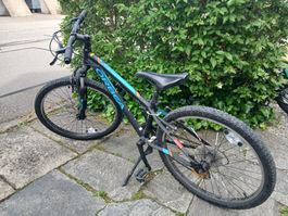 Orbea MX 24