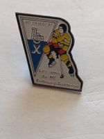 pins HC Fribourg  amis HC Gottéron hockey sur glace 