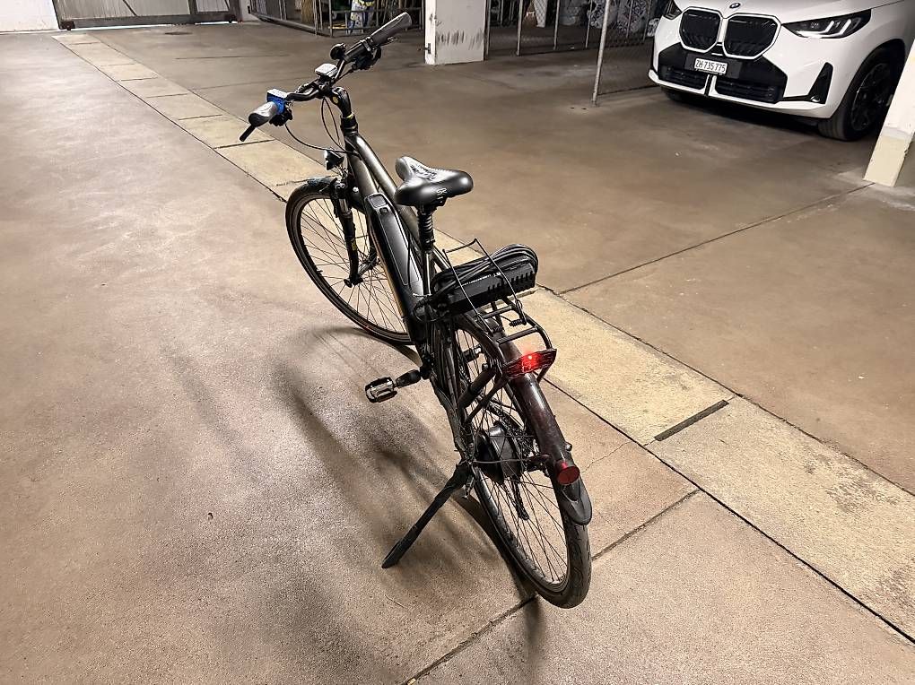 Biciclette: Elektro Velo – Usato da Dietikon venduto da sin_2lzn 1