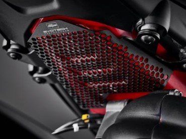 Ducati Tutti i ricambio per moto: Performance Kraftstofftankabdeckung Ducati Streetfighter V4 – Usato da Frauenfeld venduto da Moto77_AG 1