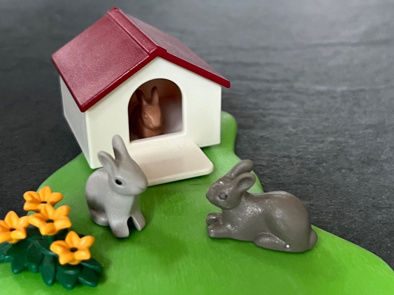 Playmobil Giocattoli: Playmobil Zoo – Usato da Densbüren venduto da rockyracoon83 6