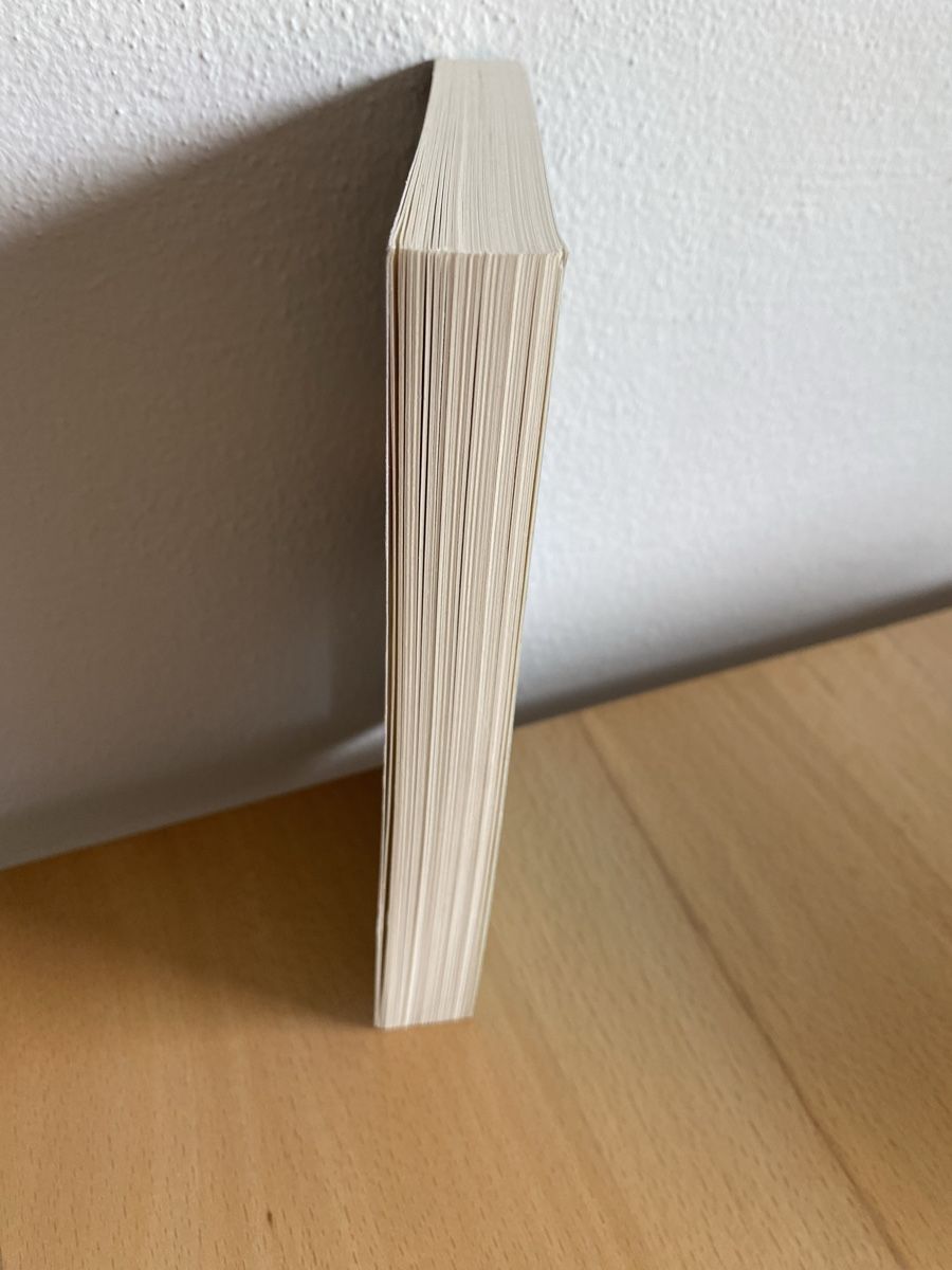 Libri: Geballte Wut - Petra Ivanov – Usato da Schwarzenburg venduto da Michellu 3